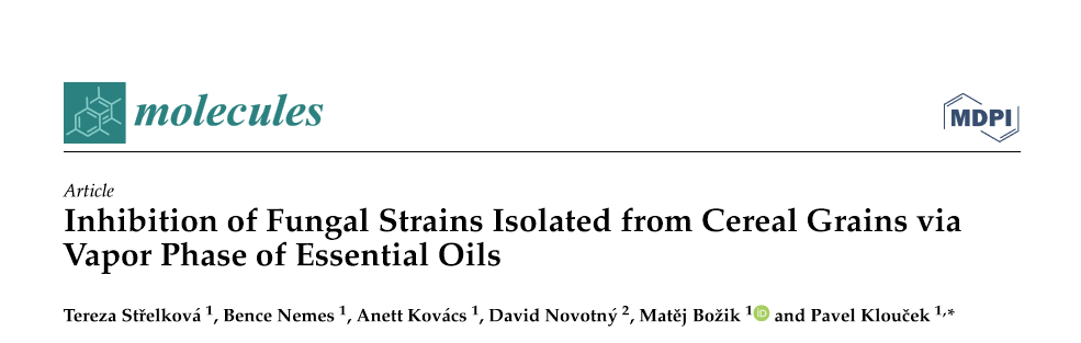 Inhibition of Fungal Strains Isolated from Cereal Grains via Vapor Phase of Essential Oils