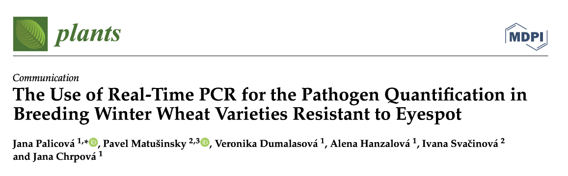 he Use of Real-Time PCR for the Pathogen Quantification in Breeding Winter Wheat Varieties Resistant to Eyespot